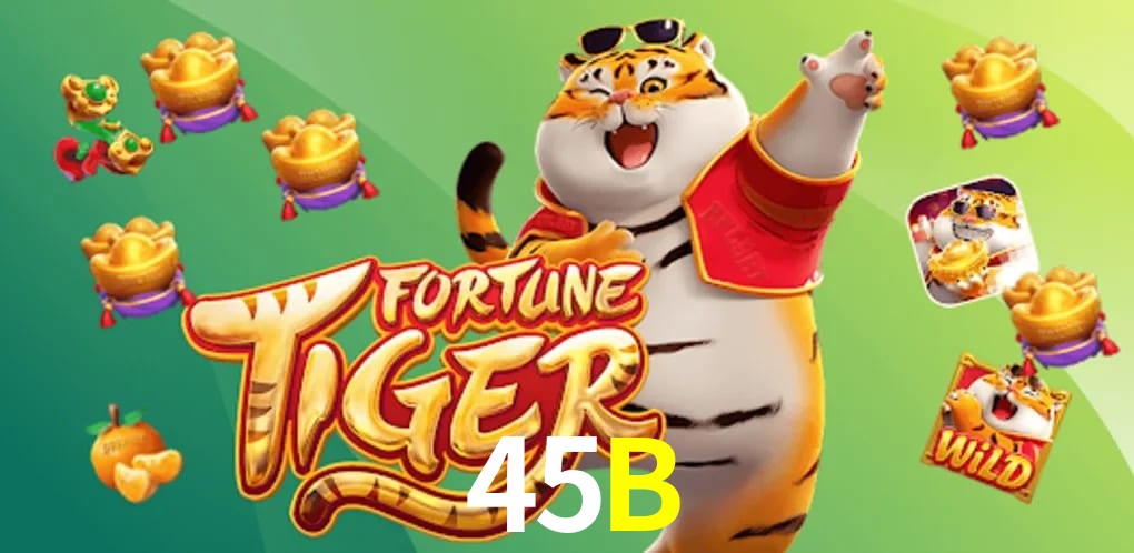 Experiência VIP 45B